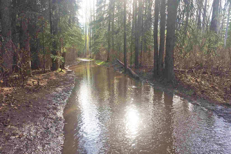 11816742_web1_Riverside-Perimeter-Trail-flood