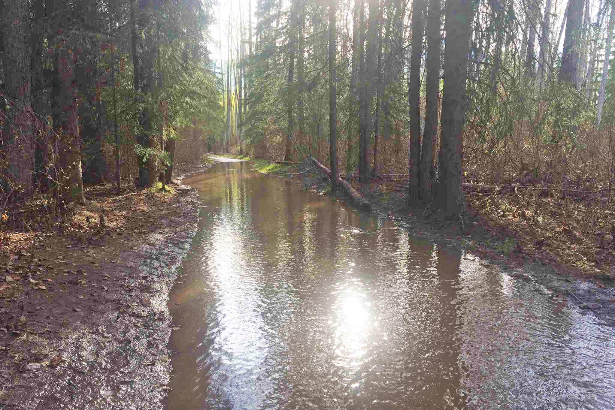 11849493_web1_Riverside-Perimeter-Trail-flood