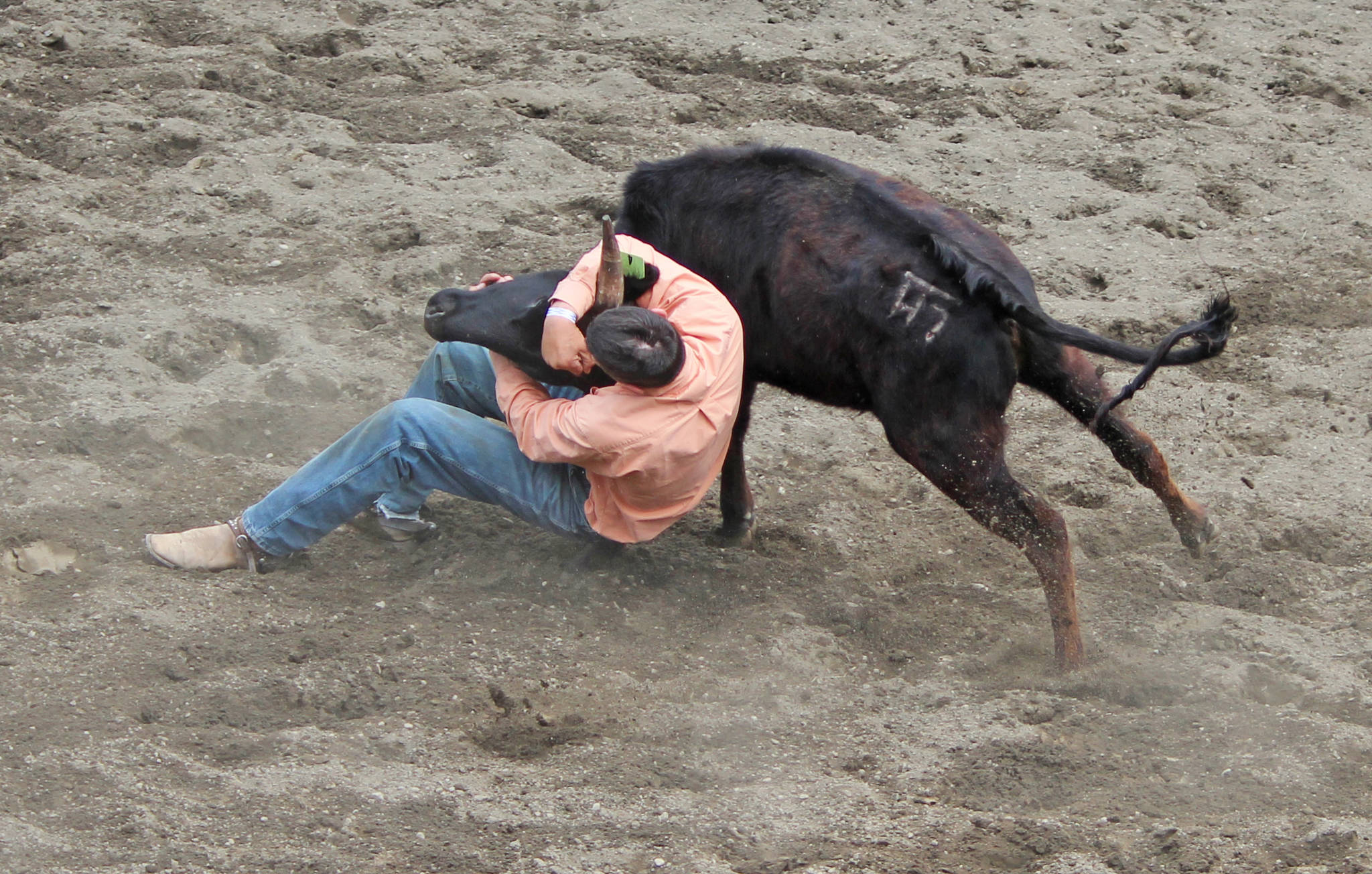 17113511_web1_kispiox-rodeo-steer-wrestling