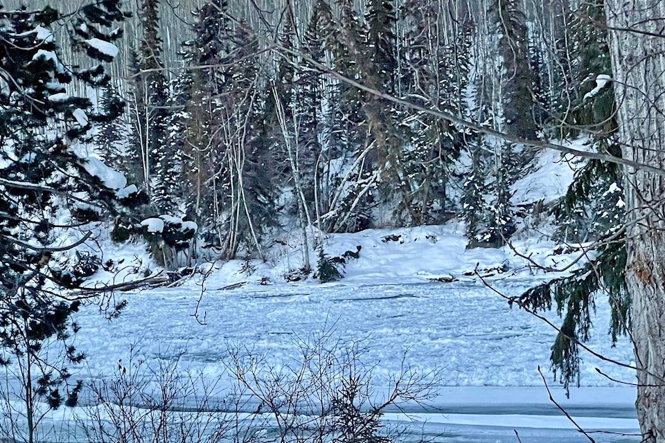 24261464_web1_2102218-SIN-WEBPOLL-FLOODING-bulkley-river_1