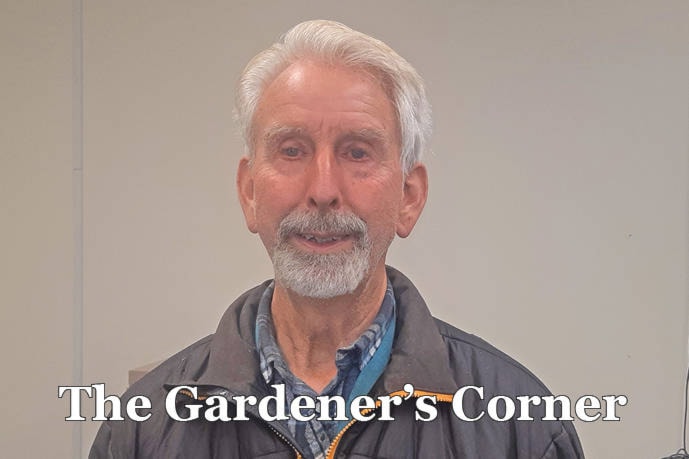 24958531_web1_201119-SIN-gardeners-corner-seed-germination-erik-jacobsen_1