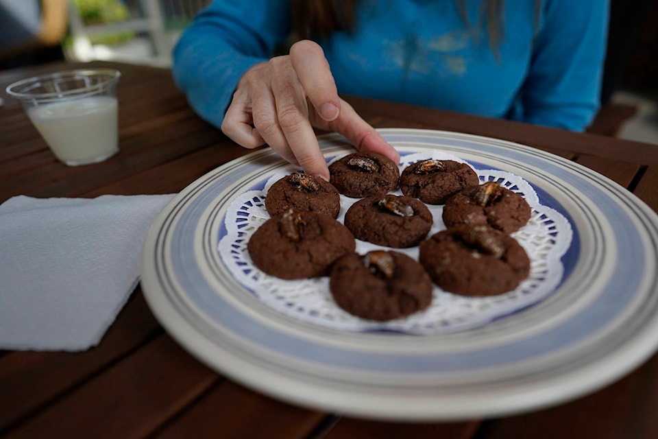 25224320_web1_210518-CPW-cicadas-as-food-cookies_1