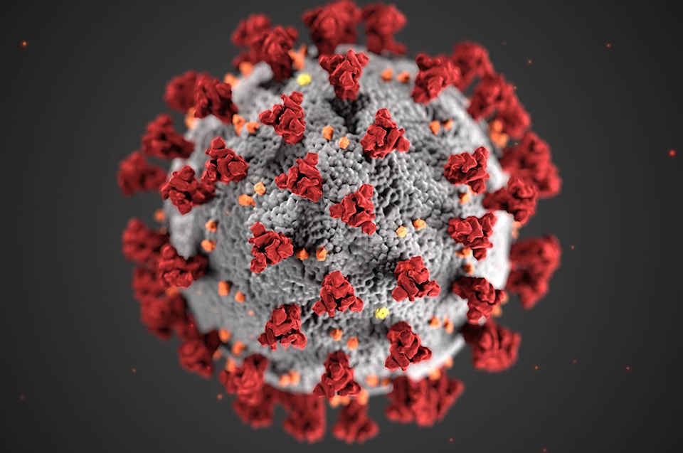 27341367_web1_Coronavirus_3D_illustration_by_CDC_1600x900