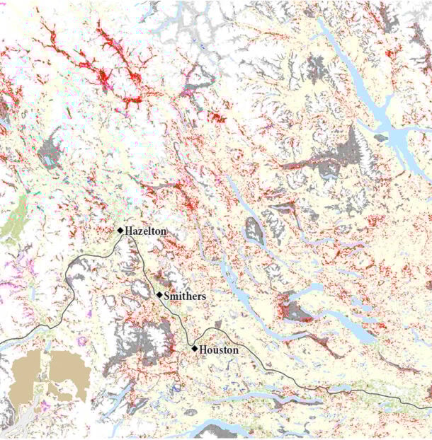 28452395_web1_220321-SIN-old-growth-deferrals-bulkley-valley_1