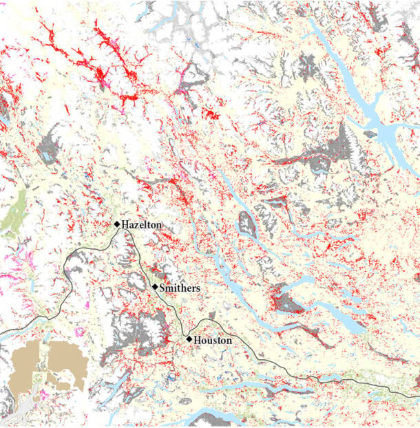 28452395_web1_220321-SIN-old-growth-deferrals-bulkley-valley_1