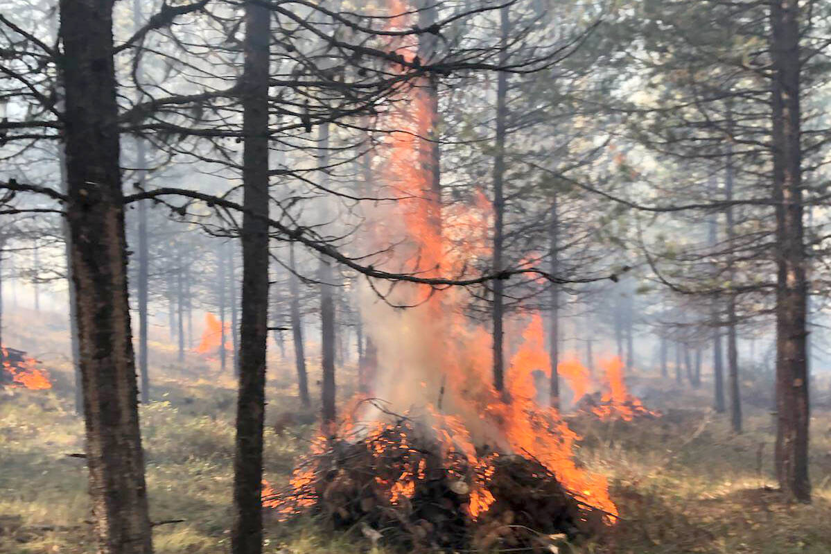 Open fire ban starts Friday The Smithers Interior News