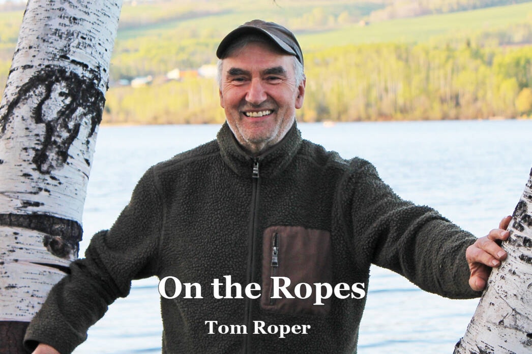 Tom Roper S&P Mill Set – Once A Tree Camden