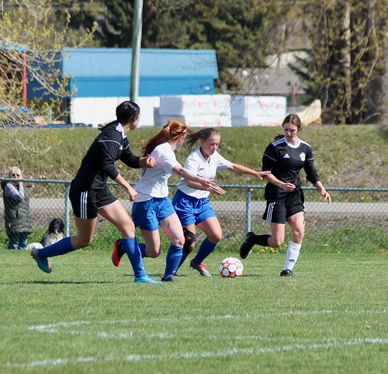 29135361_web1_220519-SIN-AA-soccer-girls-to-provincials_4