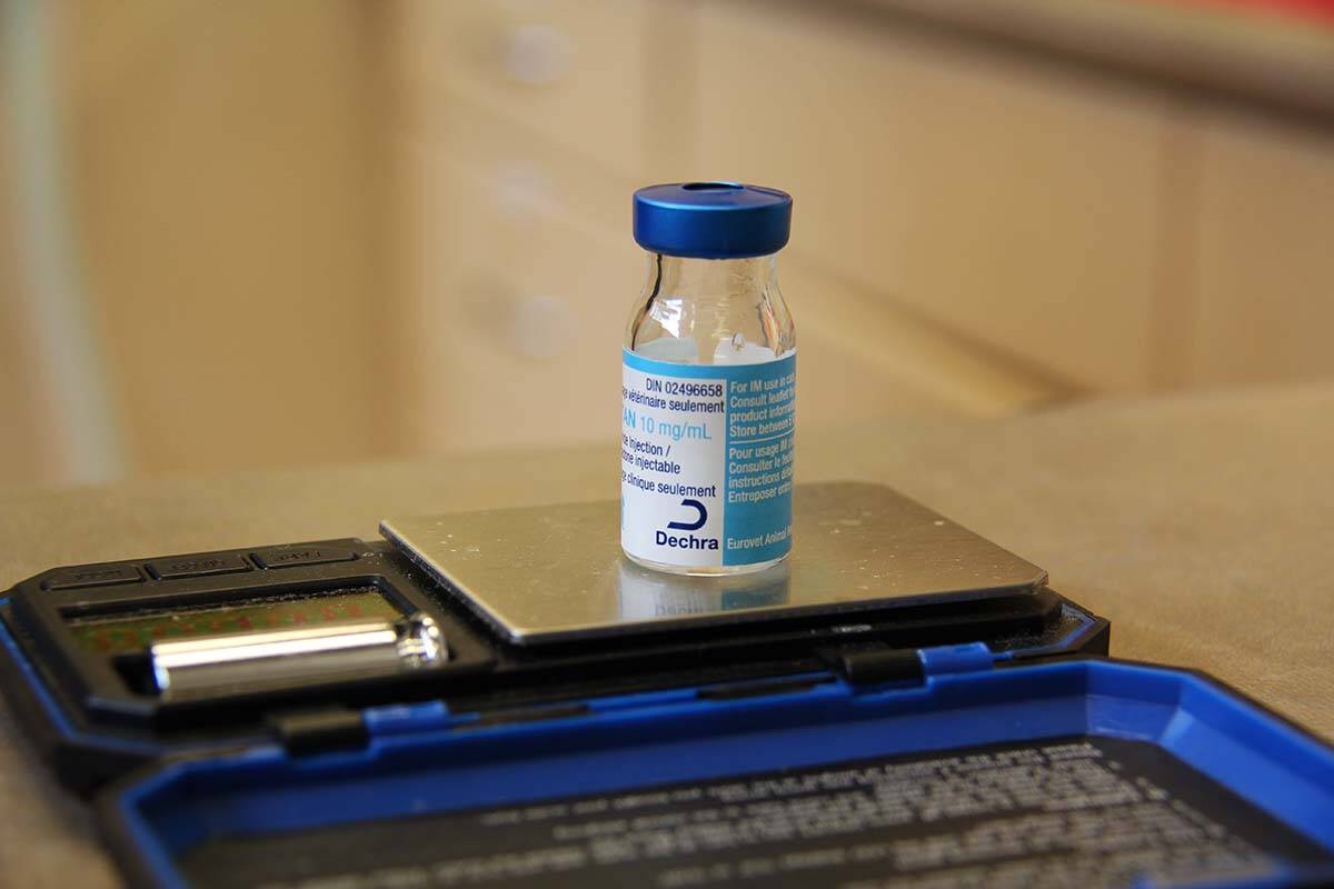Jocelyn Marsh has switched her clinics auditing system to a weight-based method, saving around 800 syringes and needles a year. (Jane Skrypnek/Black Press Media)