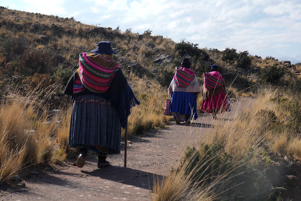 31276780_web1_221212-CPW-Hailstorm-kills-Bolivian-graduation-drought_1