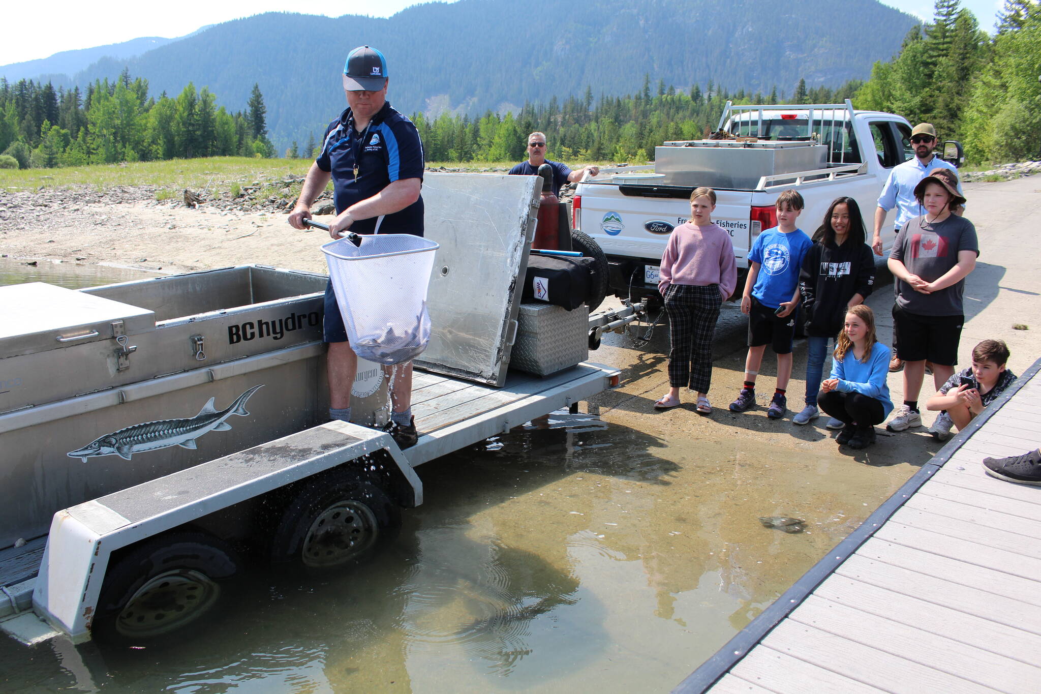 Releasing sturgeon into the Arrow Lakes at Shelter Bay Provincial Park. (Josh Piercey/Revelstoke Review)