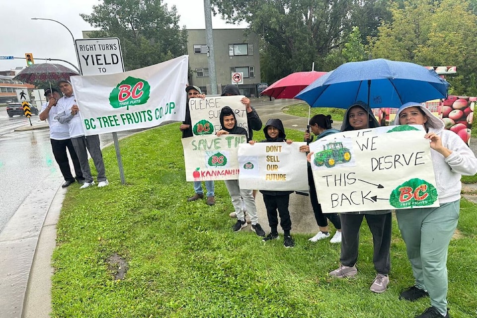 Protesters looking to save the BC Tree Fruits Cooperative in Kelowna on Aug. 16, 2024.