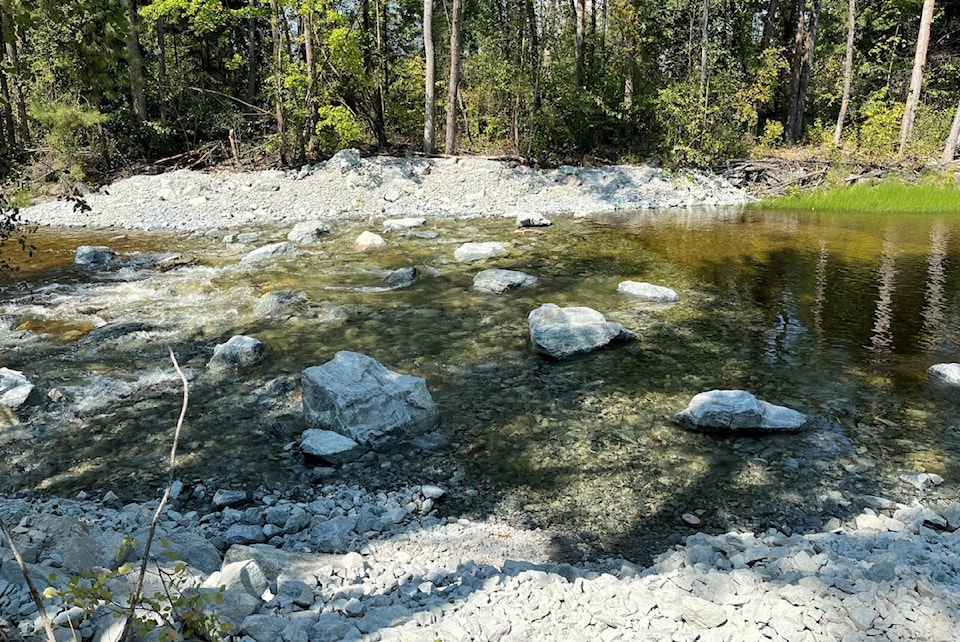 riffle-construction-creek