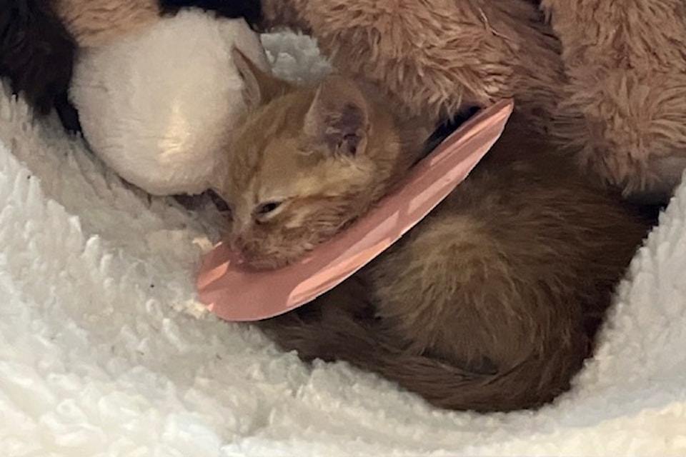 Keller cuddles his stuffed animal friend. 