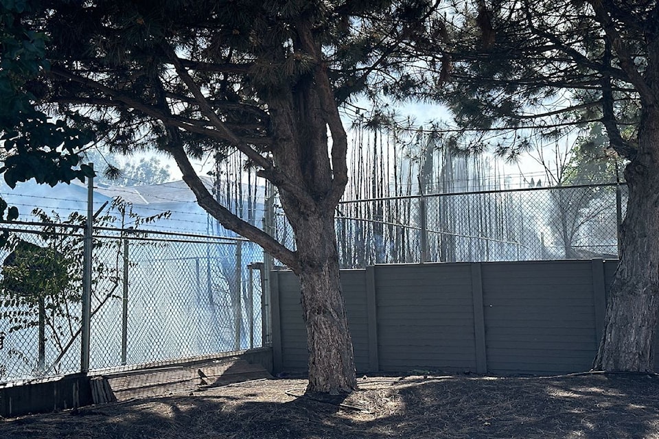 The 鶹ѡ Fire Department was called to a hedge fire in an area off Burtch Round around 4 p.m. on Monday, June 10, 2024.