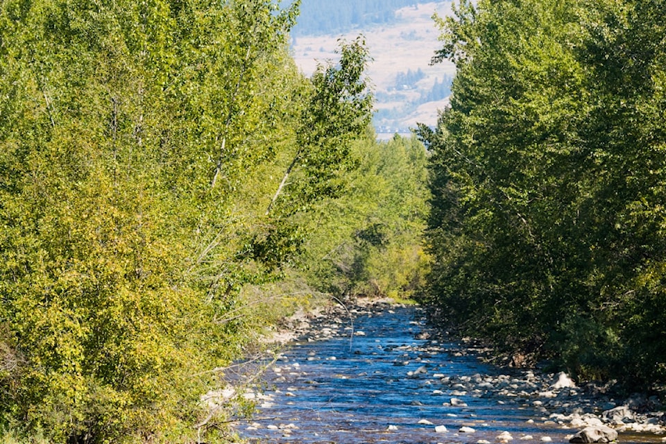 Mission Creek
