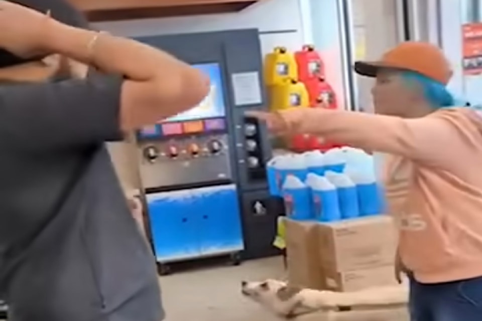 dog-aattack