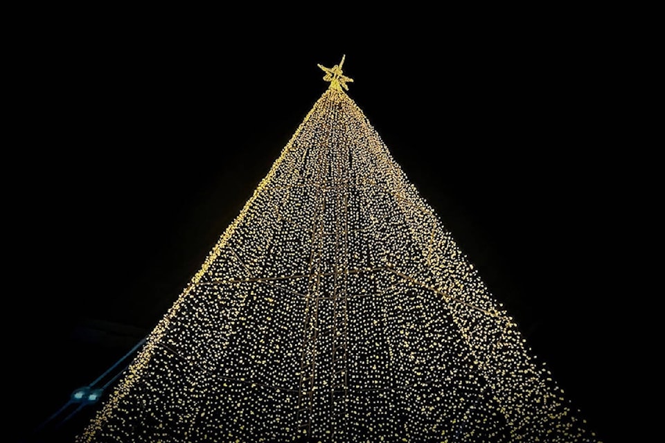 tree-of-hope