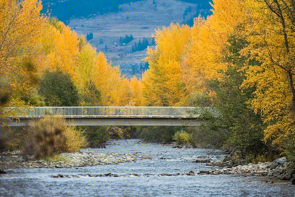 kokaneebridge