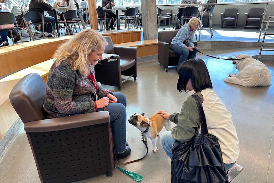 therapy-dogs