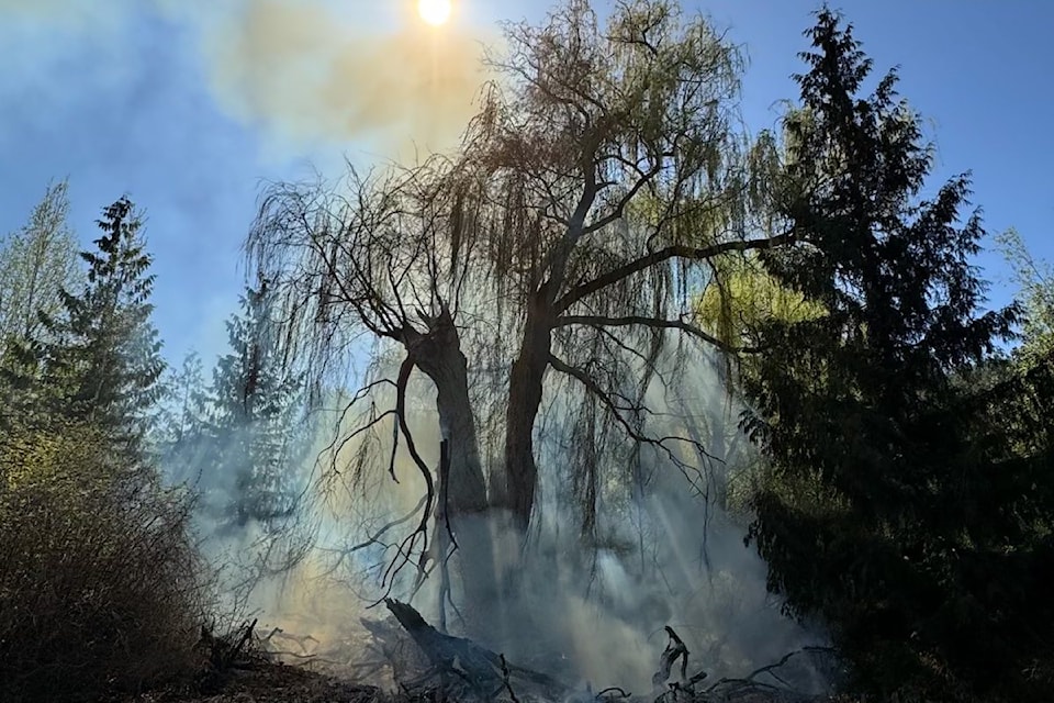 Tree fire on Bottom Wood Lake Road, April 24.