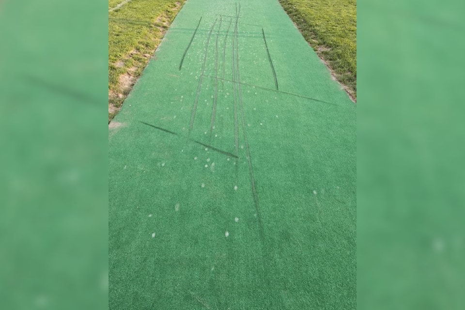 cricket