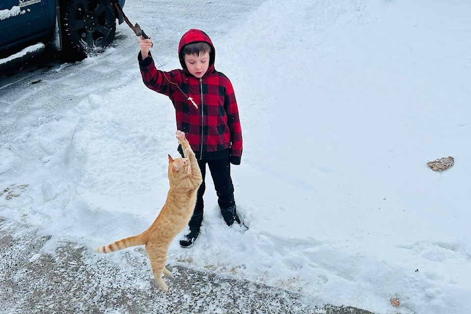 A boy and his cat enjoy the snow in the Central Okanagan. 