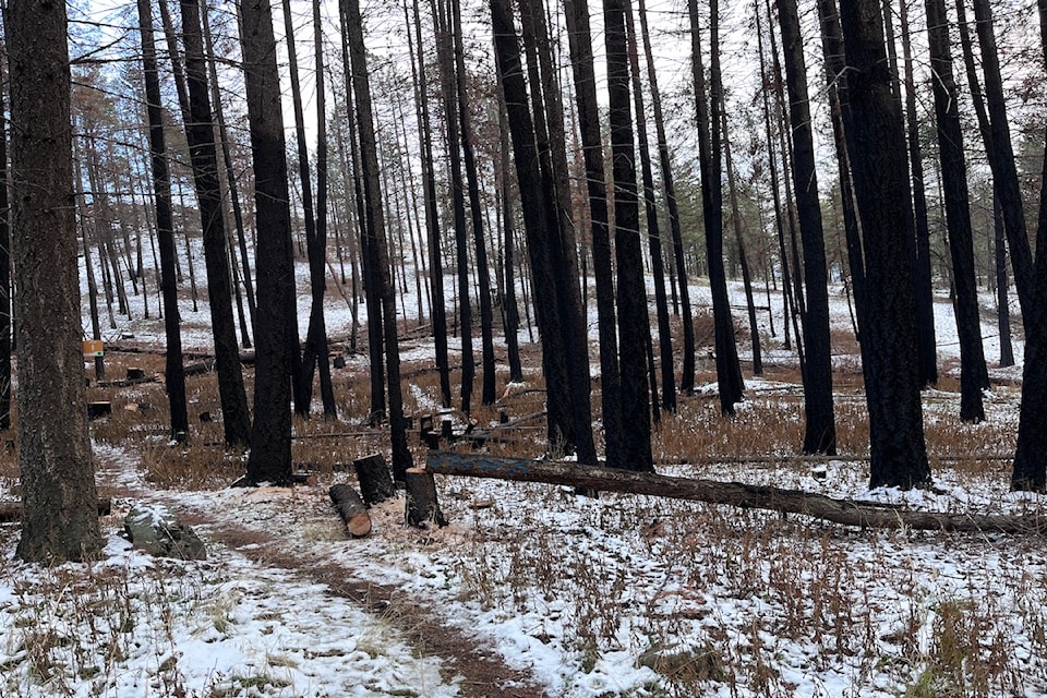 Rose Valley Regional Park was damaged during the McDougall Creek wildfire in 2023.