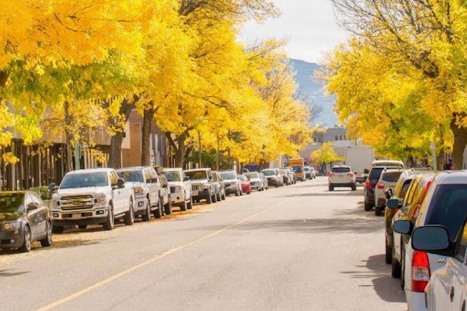 streetrees