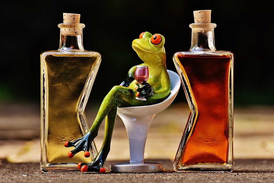 frogs-1650658_1280