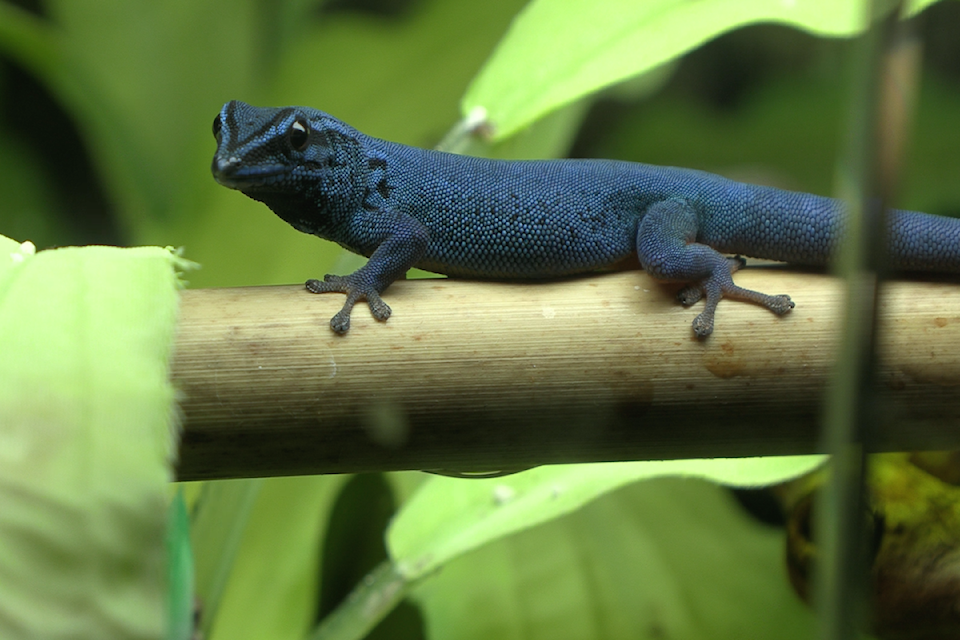 screen-shot-2025-09-04-at-41505-pm