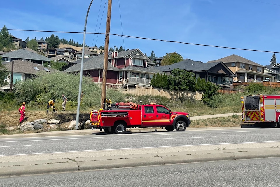Grass fire on Highway 33, July 4, 2025.
