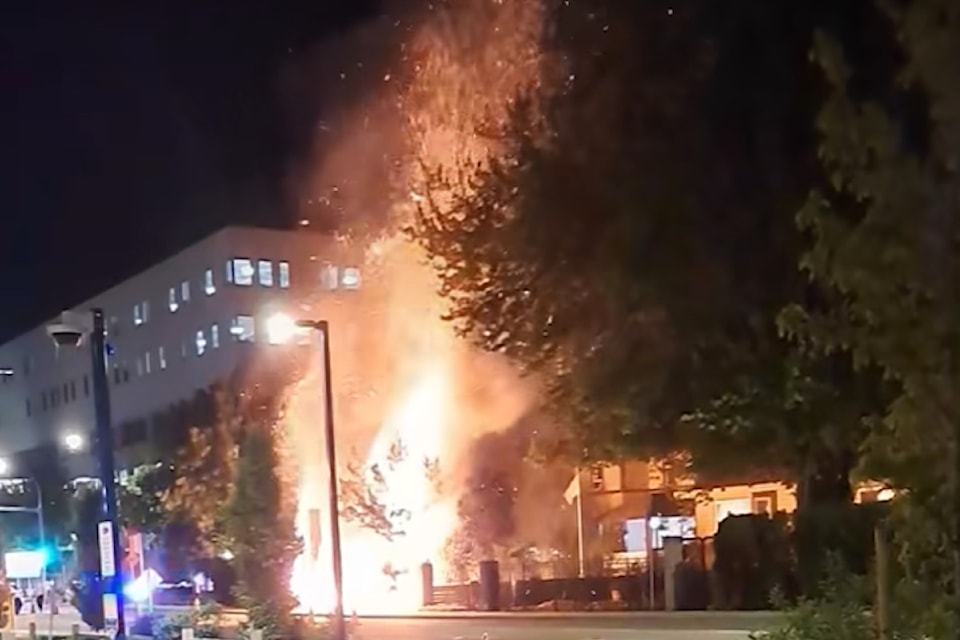 A hedge on Pandosy Street was quickly doused by the Kelowna Fire Department.