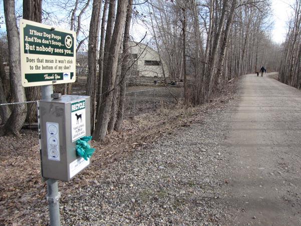 Dog poop overloading Coquitlam, B.C. park garbage cans