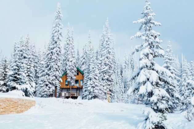 65554kelownaBigWhiteVillage
