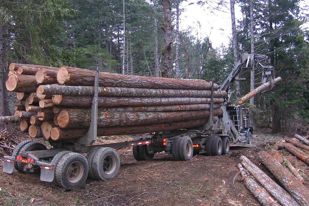 web1_170106-KCN-logging-truck1_1