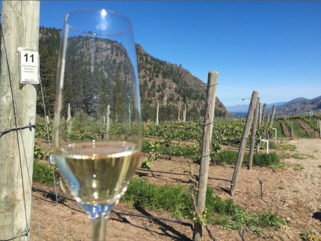 90284kelownagenericwineglasinorchardpic