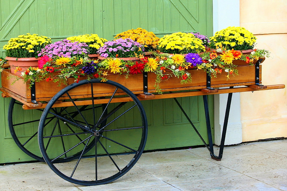 web1_170216_KCN_flower-cart