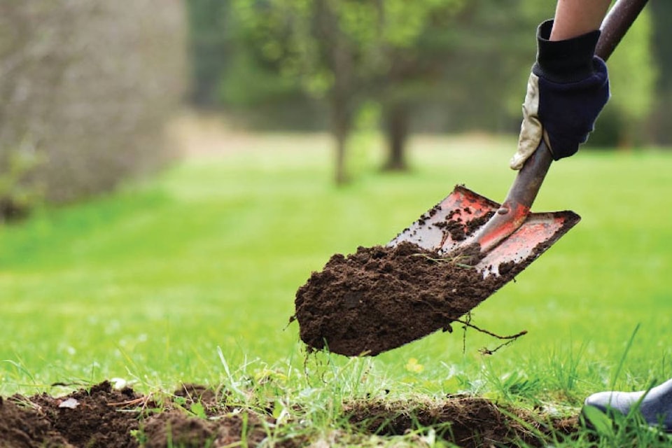 web1_170411-BPD-digging