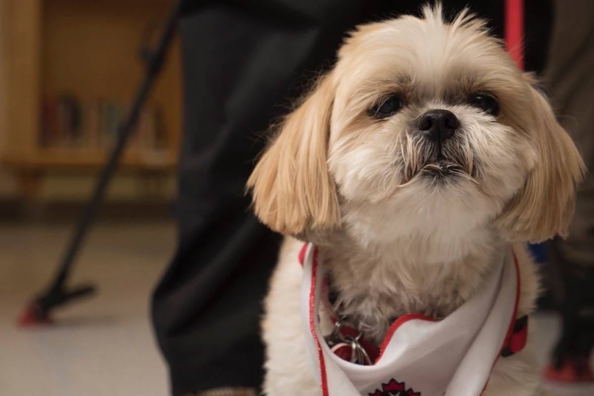 web1_20170427-KCN-M-BCCHF-PetSmart-Event-320