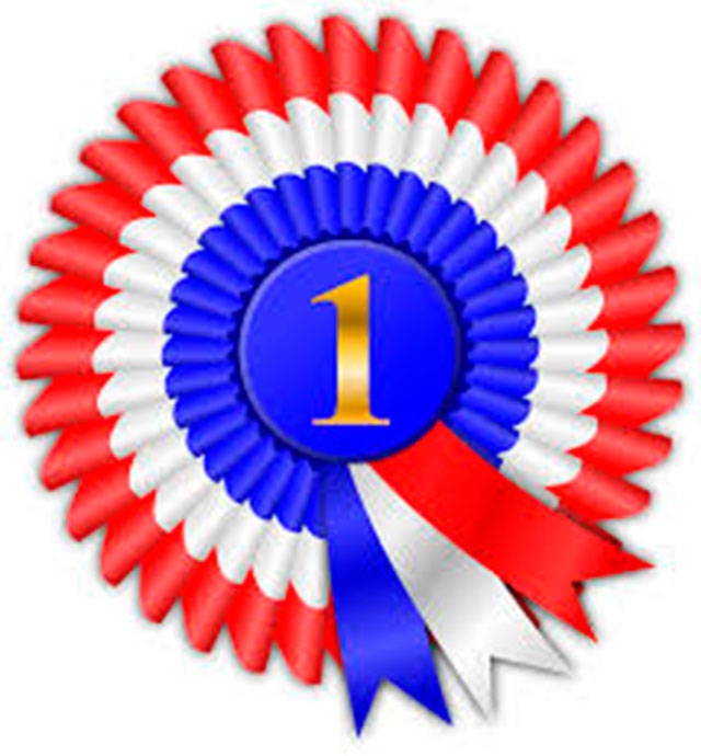 web1_award-small