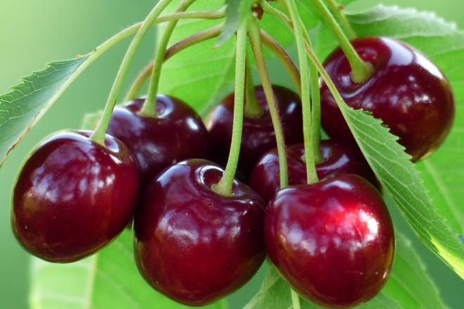 web1_170616-PWN-cherries-T