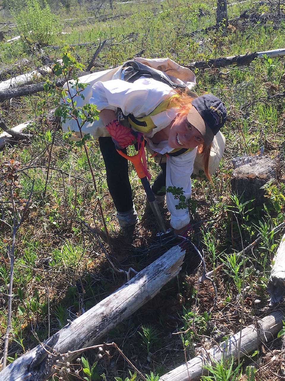 web1_170712_KCN_Treeplanting