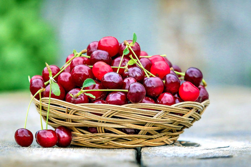 7954132_web1_170804_KCN_Cherries