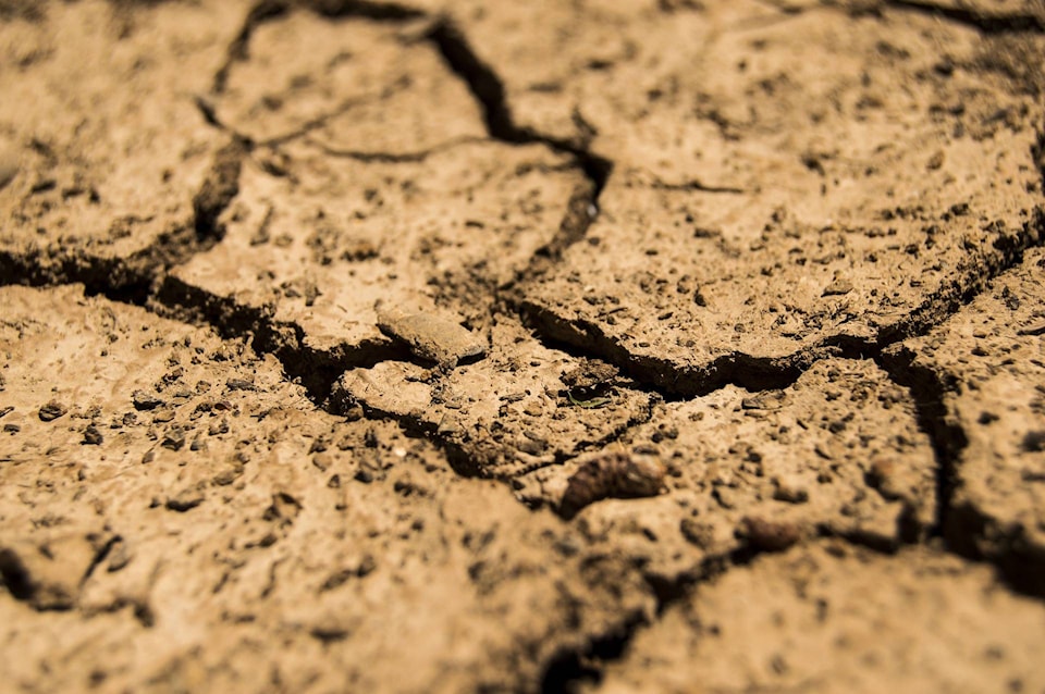 8357882_web1_170901-KCN-drought_1