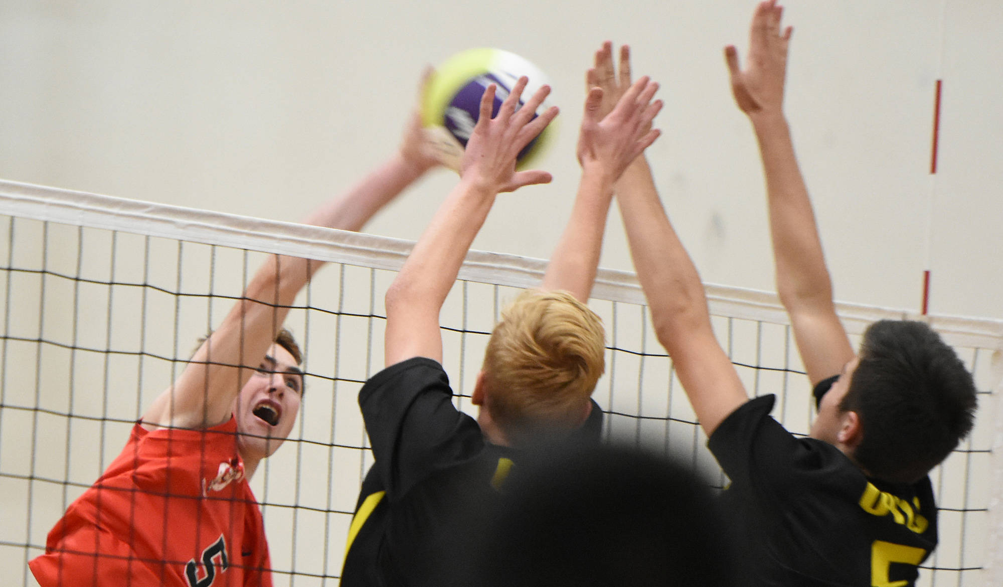 8673566_web1_170927-PWN-volleyball-07