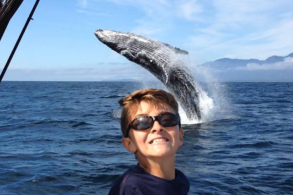 8799539_web1_171004-CRM-Whale-selfie