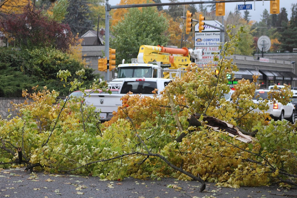 8977137_web1_copy_20171017-VMS-treedown