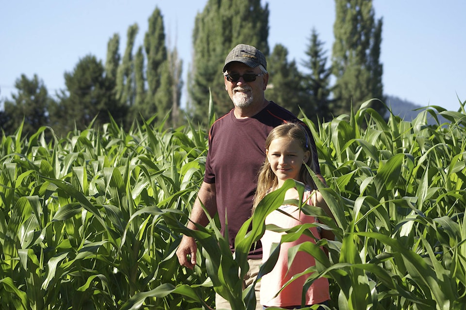 9001155_web1_170707-VMS-corn-maze