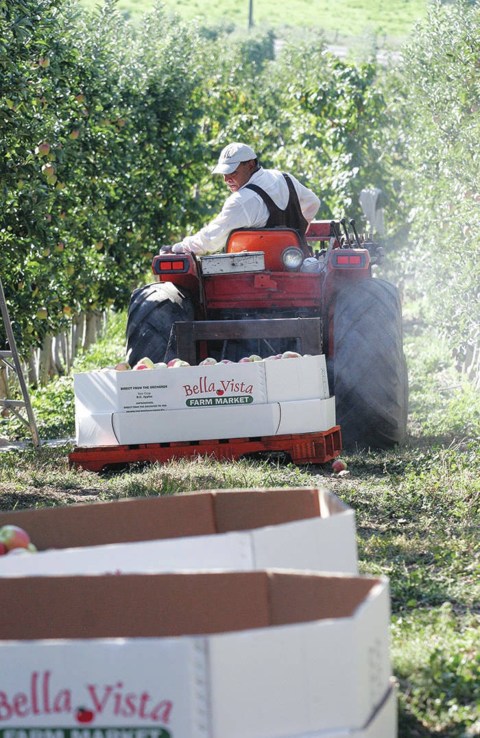 9004610_web1_lv-apple-picking-web-10-24-09